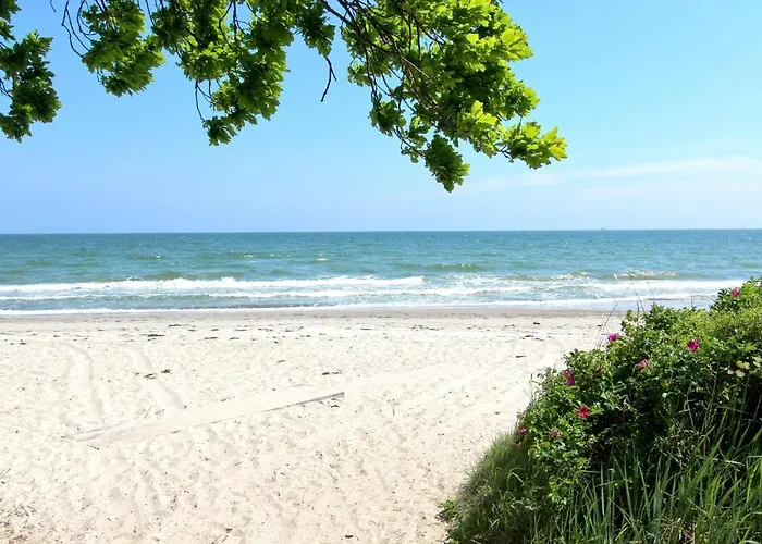 Rex Rugia 11-2 Mit Sauna- Und Schwimmbadnutzung Im Ahoi Sellin *